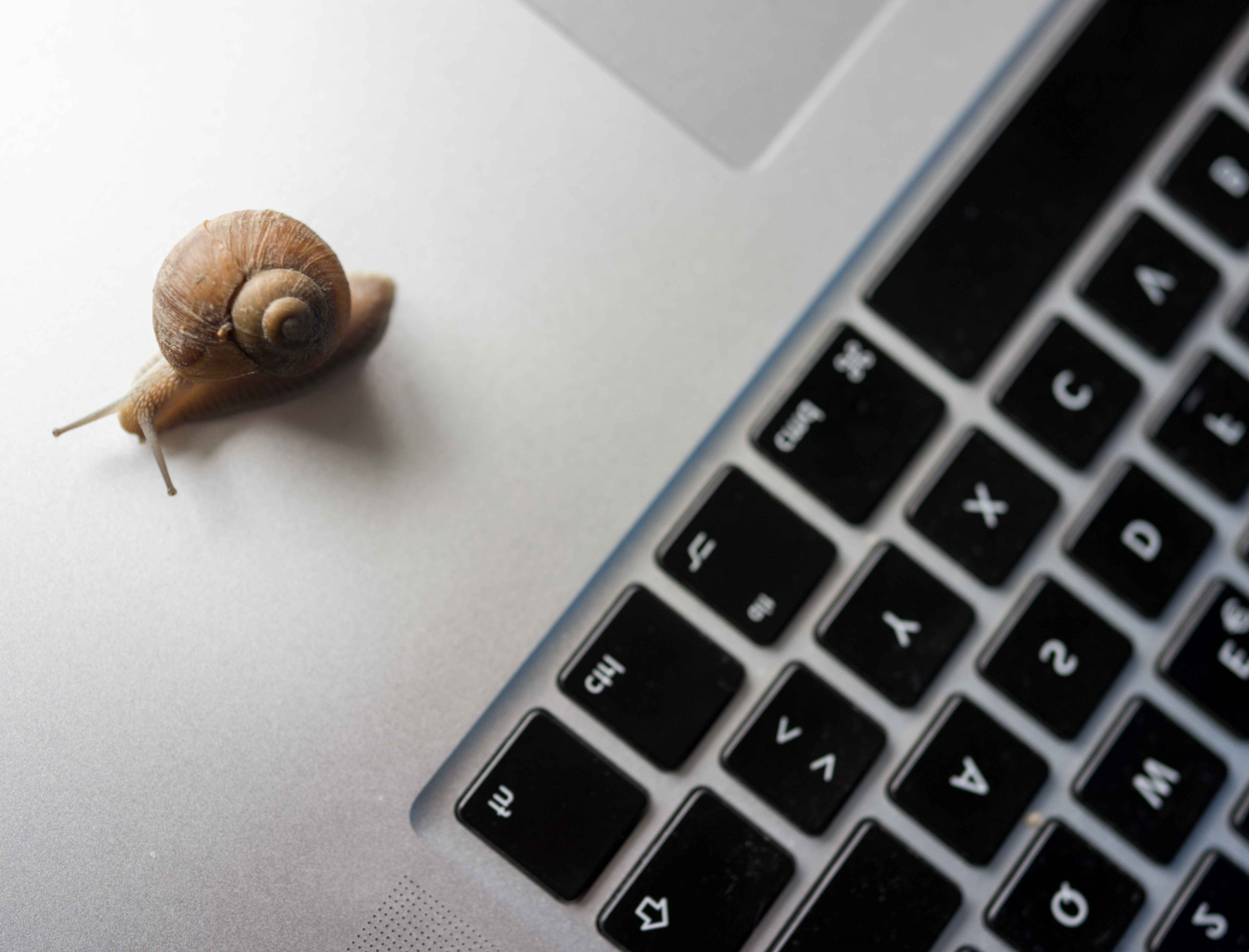 Un caracol sobre el teclado de un portátil simbolizando la lentitud de los inicios de Internet frente a la velocidad actual de la tecnología digital.